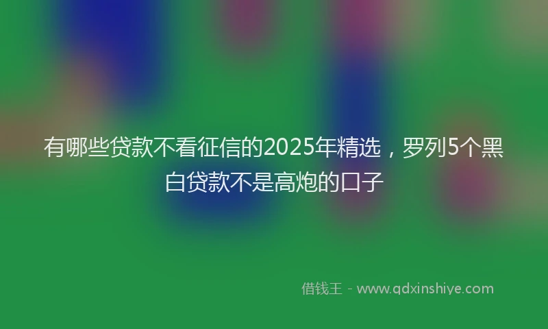 有哪些贷款不看征信的2025年精选，罗列5个黑白贷款不是高炮的口子