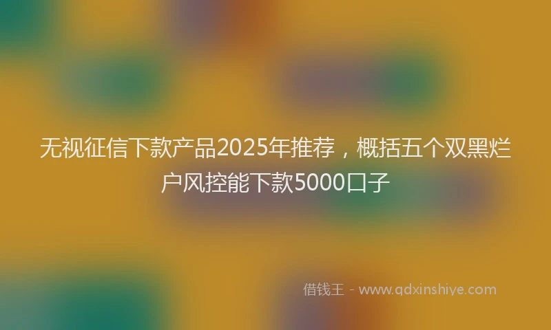 无视征信下款产品2025年推荐，概括五个双黑烂户风控能下款5000口子