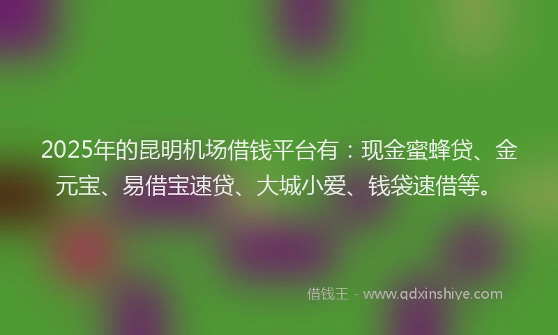 2025年的昆明机场借钱平台有：现金蜜蜂贷、金元宝、易借宝速贷、大城小爱、钱袋速借等。
