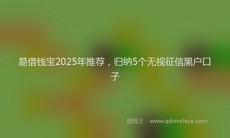 易借钱宝2025年推荐，归纳5个无视征信黑户口子