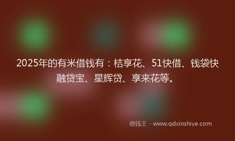 2025年的有米借钱有：桔享花、51快借、钱袋快融贷宝、星辉贷、享来花等。