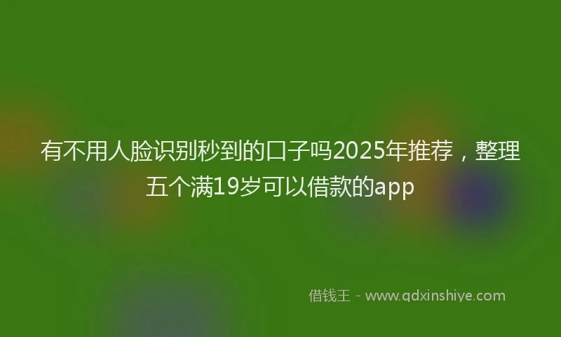 有不用人脸识别秒到的口子吗2025年推荐，整理五个满19岁可以借款的app