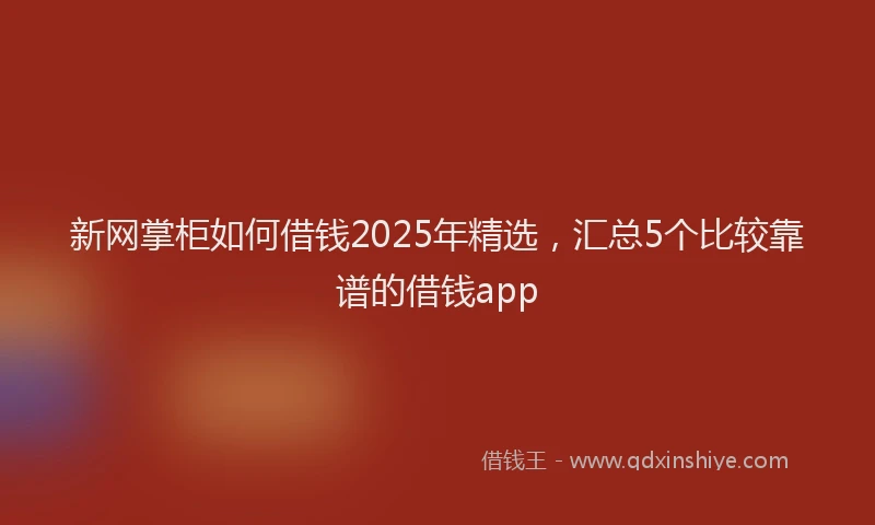 新网掌柜如何借钱2025年精选，汇总5个比较靠谱的借钱app