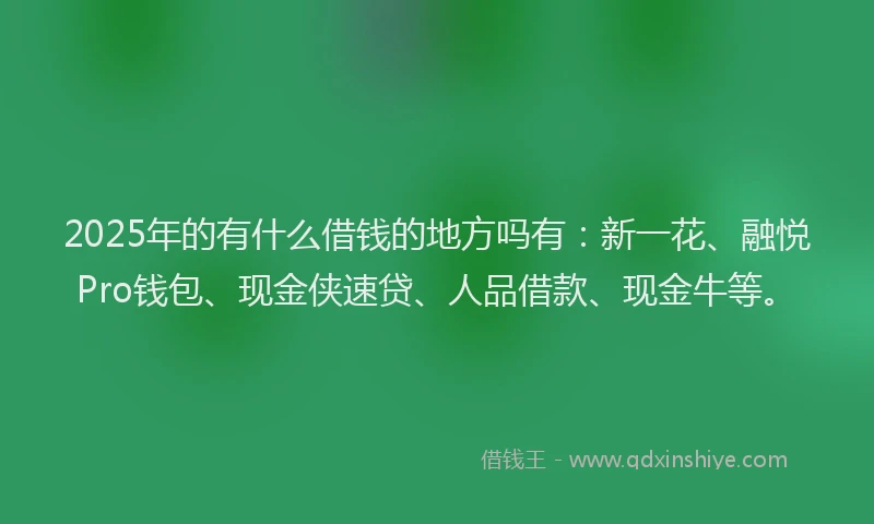2025年的有什么借钱的地方吗有：新一花、融悦Pro钱包、现金侠速贷、人品借款、现金牛等。