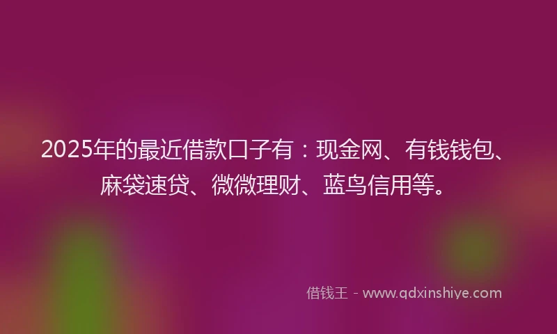 2025年的最近借款口子有：现金网、有钱钱包、麻袋速贷、微微理财、蓝鸟信用等。