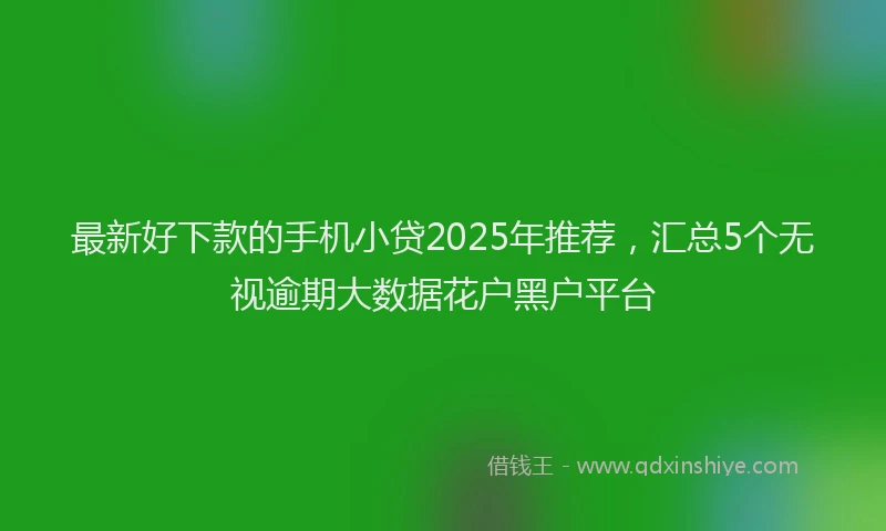 最新好下款的手机小贷2025年推荐，汇总5个无视逾期大数据花户黑户平台