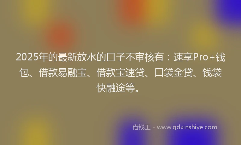 2025年的最新放水的口子不审核有：速享Pro+钱包、借款易融宝、借款宝速贷、口袋金贷、钱袋快融途等。