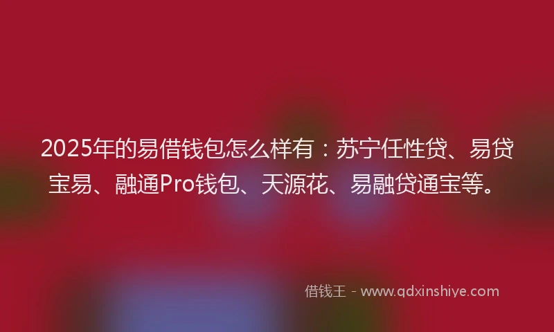 2025年的易借钱包怎么样有：苏宁任性贷、易贷宝易、融通Pro钱包、天源花、易融贷通宝等。