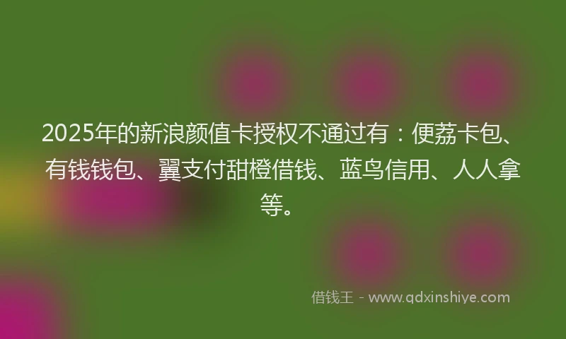 2025年的新浪颜值卡授权不通过有：便荔卡包、有钱钱包、翼支付甜橙借钱、蓝鸟信用、人人拿等。