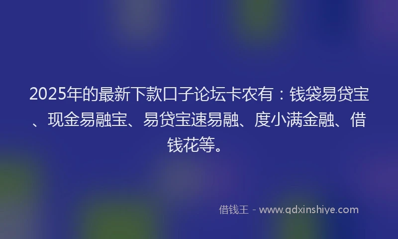 2025年的最新下款口子论坛卡农有：钱袋易贷宝、现金易融宝、易贷宝速易融、度小满金融、借钱花等。
