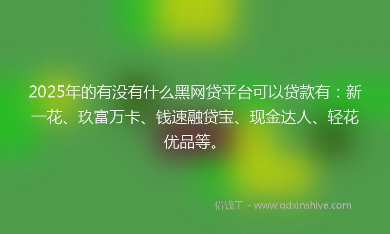 2025年的有没有什么黑网贷平台可以贷款有：新一花、玖富万卡、钱速融贷宝、现金达人、轻花优品等。