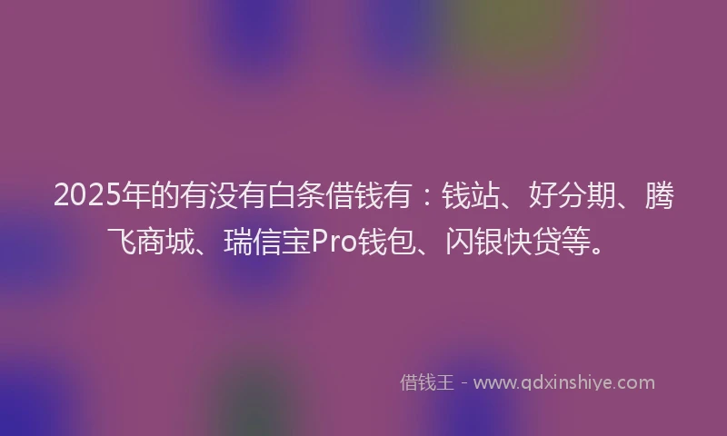 2025年的有没有白条借钱有：钱站、好分期、腾飞商城、瑞信宝Pro钱包、闪银快贷等。