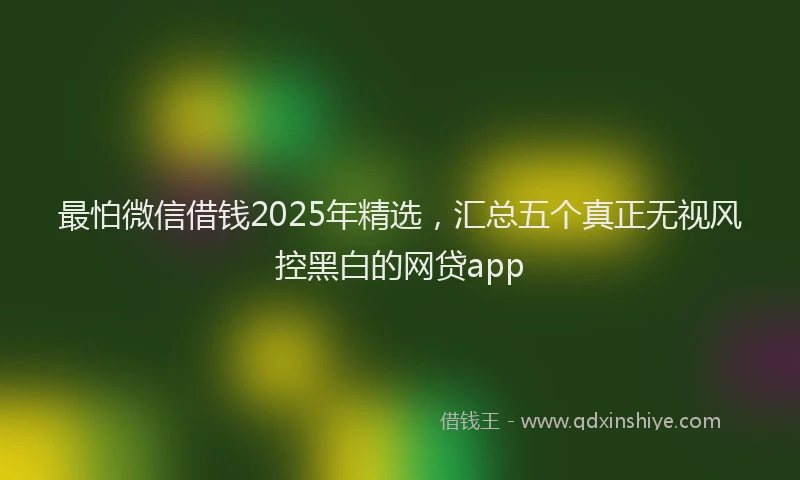 最怕微信借钱2025年精选，汇总五个真正无视风控黑白的网贷app