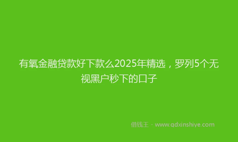 有氧金融贷款好下款么2025年精选，罗列5个无视黑户秒下的口子