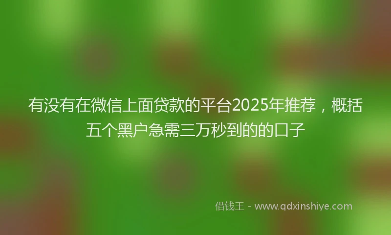有没有在微信上面贷款的平台2025年推荐，概括五个黑户急需三万秒到的的口子
