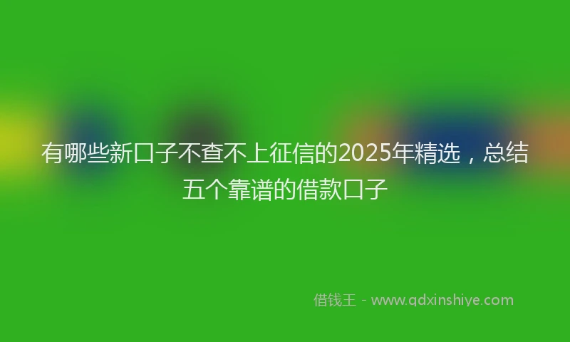 有哪些新口子不查不上征信的2025年精选，总结五个靠谱的借款口子
