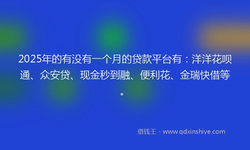 2025年的有没有一个月的贷款平台有：洋洋花呗通、众安贷、现金秒到融、便利花、金瑞快借等。