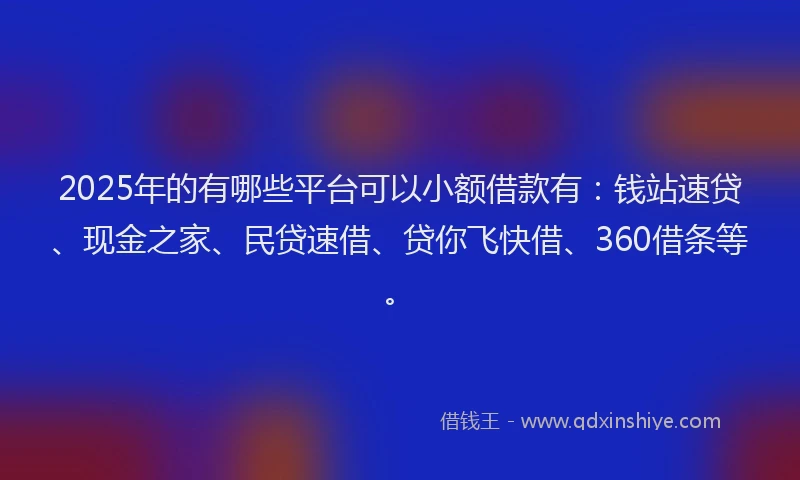 2025年的有哪些平台可以小额借款有：钱站速贷、现金之家、民贷速借、贷你飞快借、360借条等。