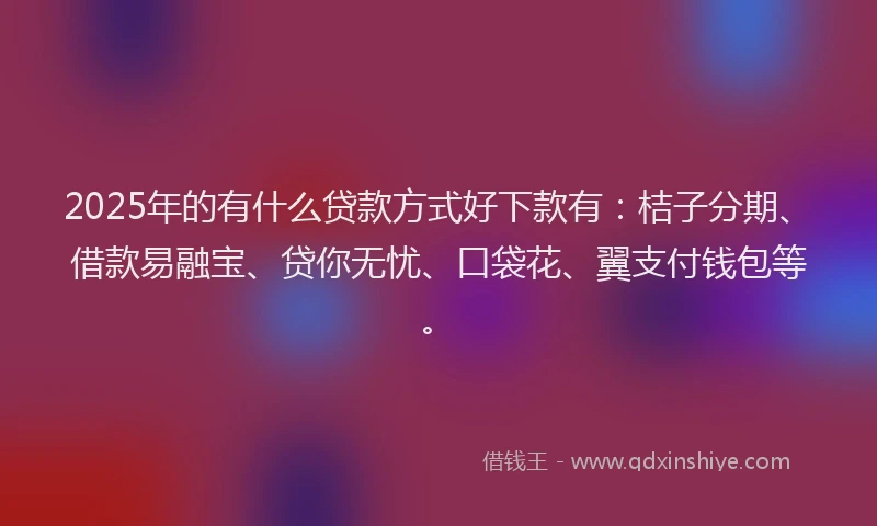 2025年的有什么贷款方式好下款有：桔子分期、借款易融宝、贷你无忧、口袋花、翼支付钱包等。