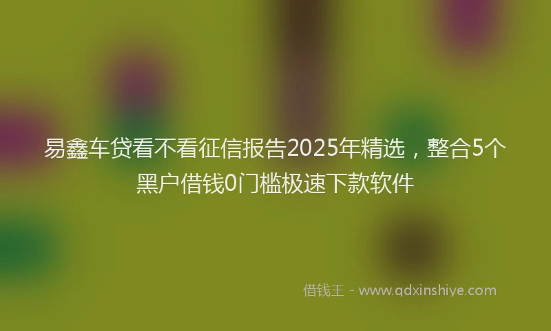 易鑫车贷看不看征信报告2025年精选，整合5个黑户借钱0门槛极速下款软件