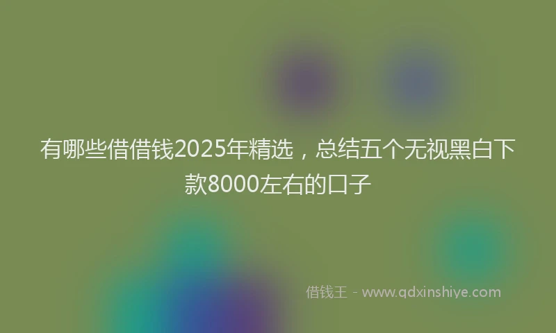 有哪些借借钱2025年精选，总结五个无视黑白下款8000左右的口子