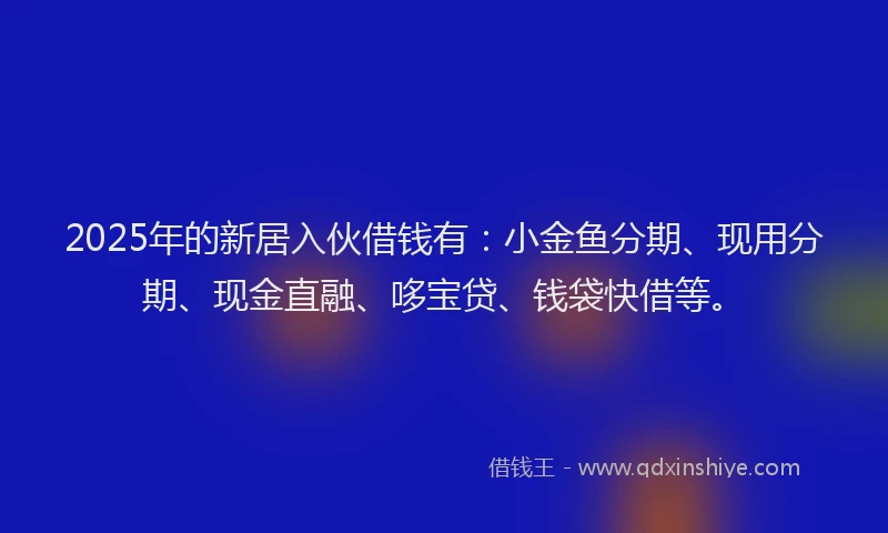 2025年的新居入伙借钱有：小金鱼分期、现用分期、现金直融、哆宝贷、钱袋快借等。