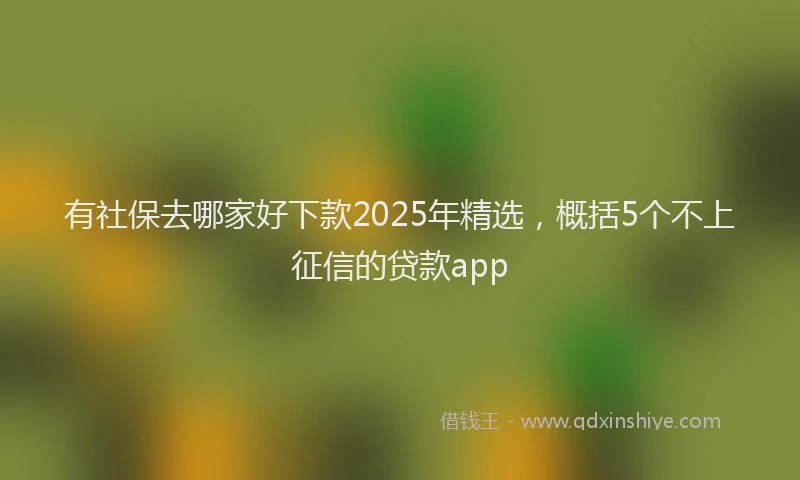 有社保去哪家好下款2025年精选，概括5个不上征信的贷款app
