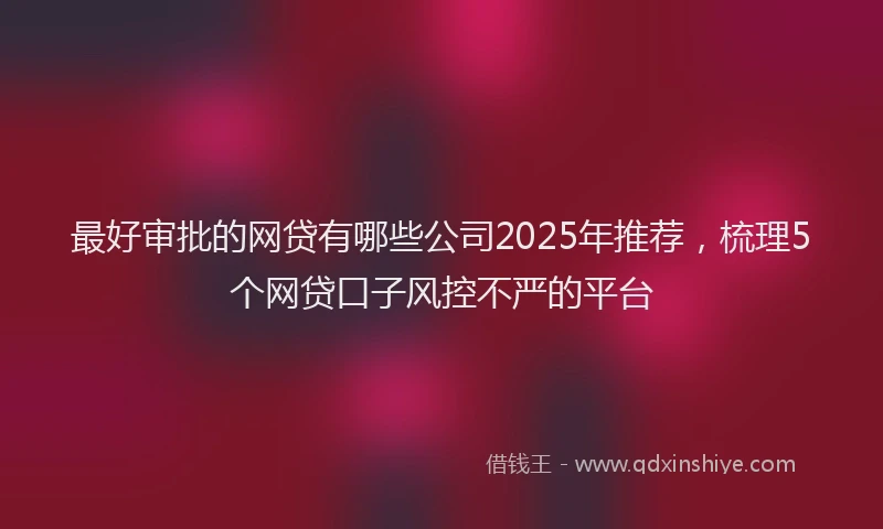 最好审批的网贷有哪些公司2025年推荐，梳理5个网贷口子风控不严的平台