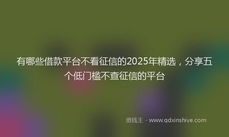 有哪些借款平台不看征信的2025年精选，分享五个低门槛不查征信的平台
