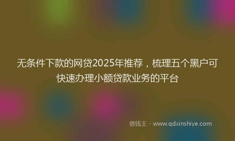 无条件下款的网贷2025年推荐，梳理五个黑户可快速办理小额贷款业务的平台