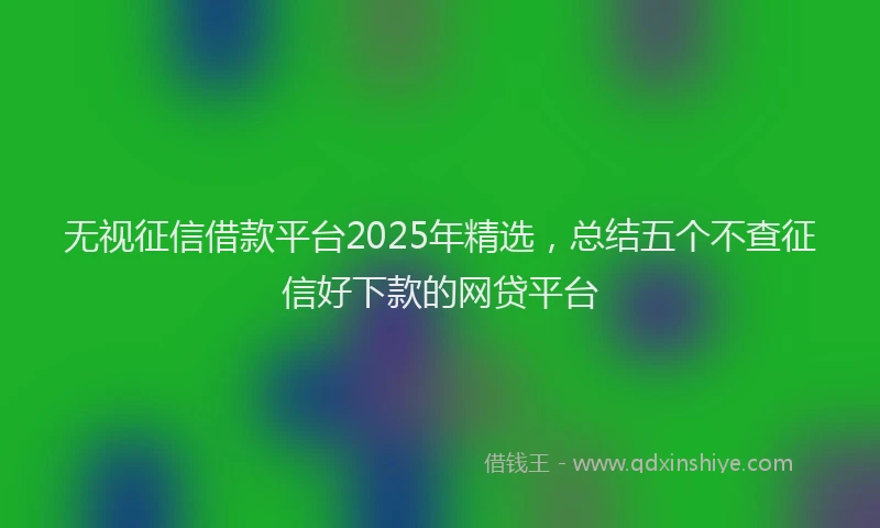 无视征信借款平台2025年精选，总结五个不查征信好下款的网贷平台