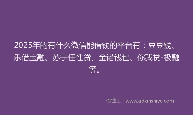 2025年的有什么微信能借钱的平台有：豆豆钱、乐借宝融、苏宁任性贷、金诺钱包、你我贷-极融等。