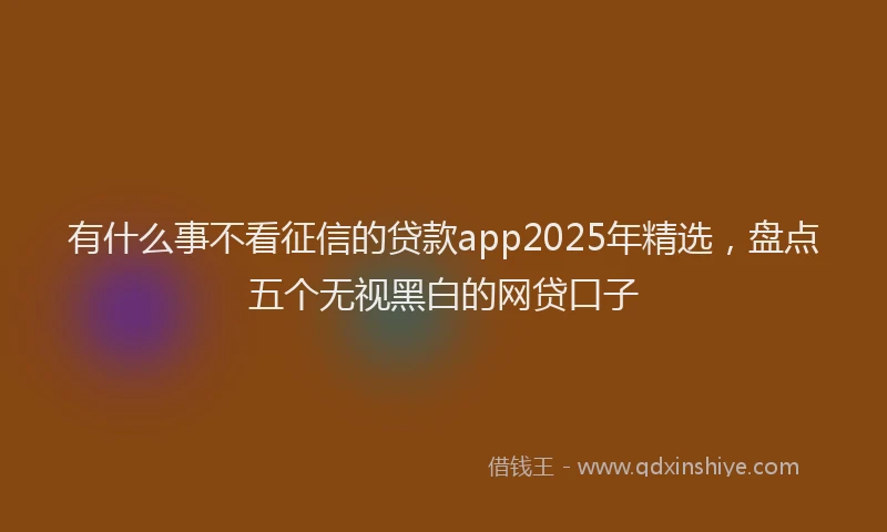 有什么事不看征信的贷款app2025年精选，盘点五个无视黑白的网贷口子