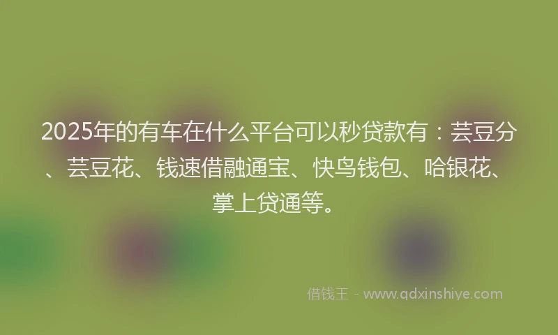 2025年的有车在什么平台可以秒贷款有：芸豆分、芸豆花、钱速借融通宝、快鸟钱包、哈银花、掌上贷通等。
