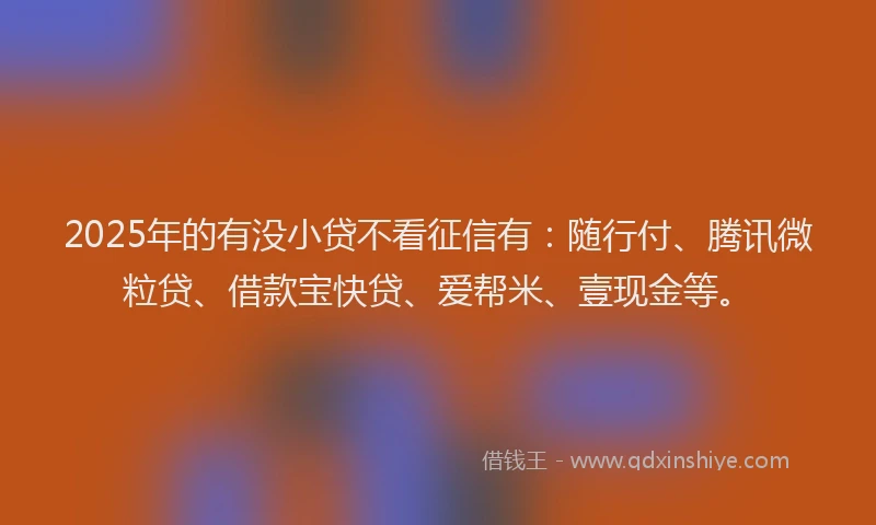 2025年的有没小贷不看征信有：随行付、腾讯微粒贷、借款宝快贷、爱帮米、壹现金等。