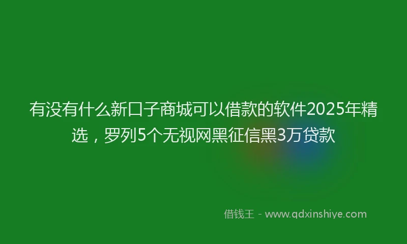 有没有什么新口子商城可以借款的软件2025年精选，罗列5个无视网黑征信黑3万贷款