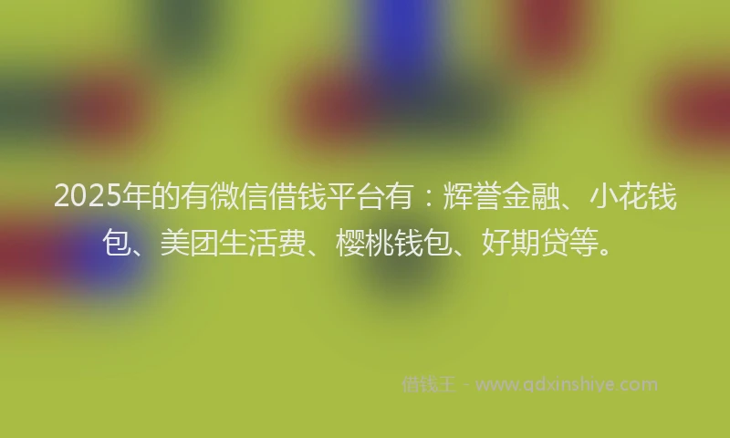 2025年的有微信借钱平台有：辉誉金融、小花钱包、美团生活费、樱桃钱包、好期贷等。
