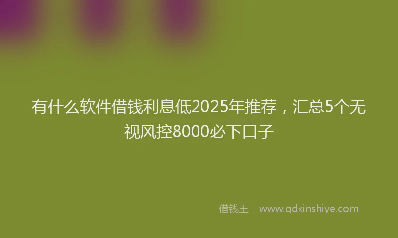 有什么软件借钱利息低2025年推荐，汇总5个无视风控8000必下口子