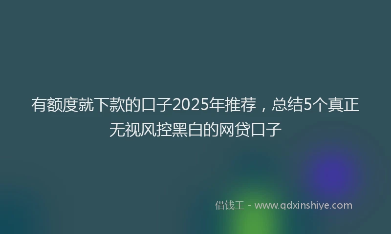 有额度就下款的口子2025年推荐，总结5个真正无视风控黑白的网贷口子