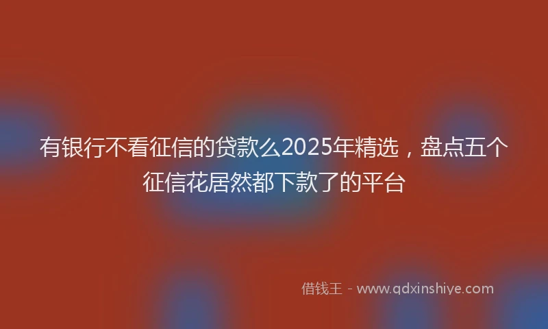 有银行不看征信的贷款么2025年精选，盘点五个征信花居然都下款了的平台