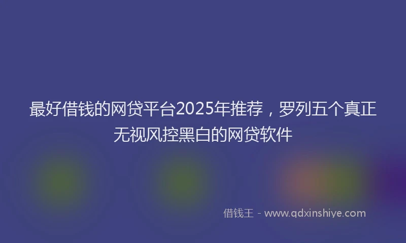 最好借钱的网贷平台2025年推荐，罗列五个真正无视风控黑白的网贷软件