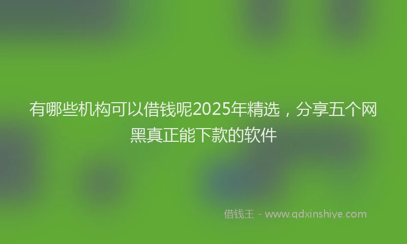 有哪些机构可以借钱呢2025年精选，分享五个网黑真正能下款的软件