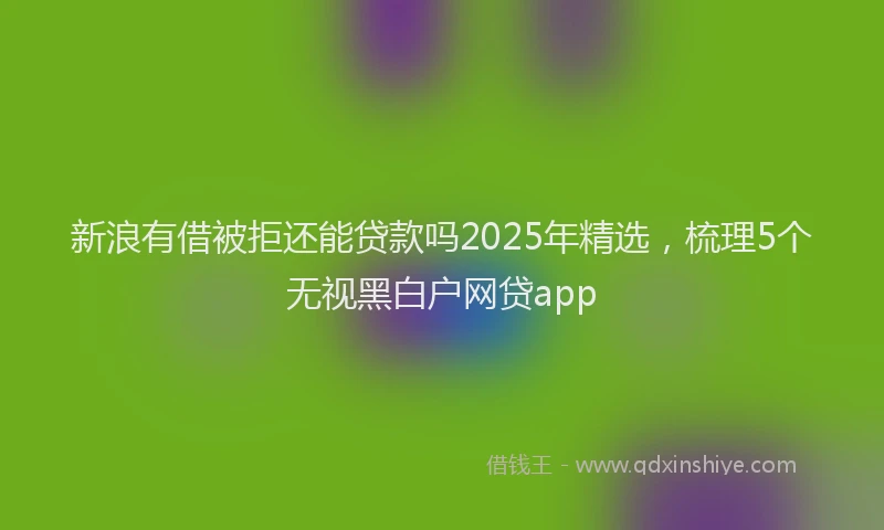 新浪有借被拒还能贷款吗2025年精选，梳理5个无视黑白户网贷app
