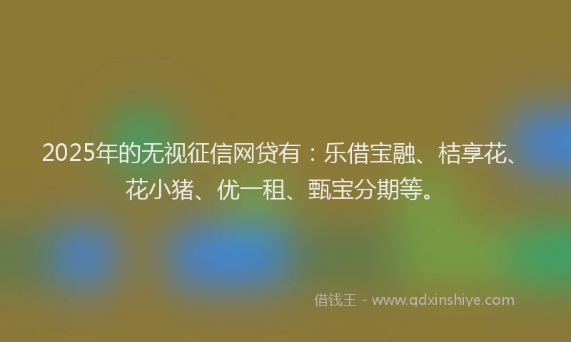 2025年的无视征信网贷有：乐借宝融、桔享花、花小猪、优一租、甄宝分期等。