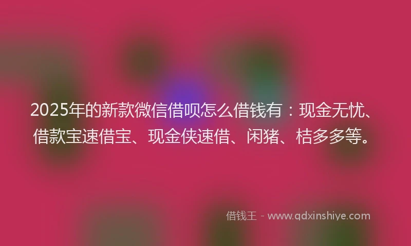 2025年的新款微信借呗怎么借钱有：现金无忧、借款宝速借宝、现金侠速借、闲猪、桔多多等。