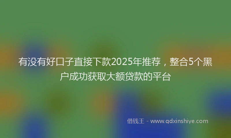 有没有好口子直接下款2025年推荐，整合5个黑户成功获取大额贷款的平台