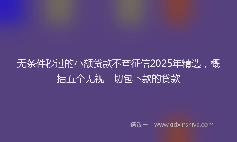 无条件秒过的小额贷款不查征信2025年精选，概括五个无视一切包下款的贷款