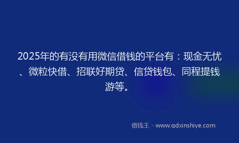 2025年的有没有用微信借钱的平台有：现金无忧、微粒快借、招联好期贷、信贷钱包、同程提钱游等。