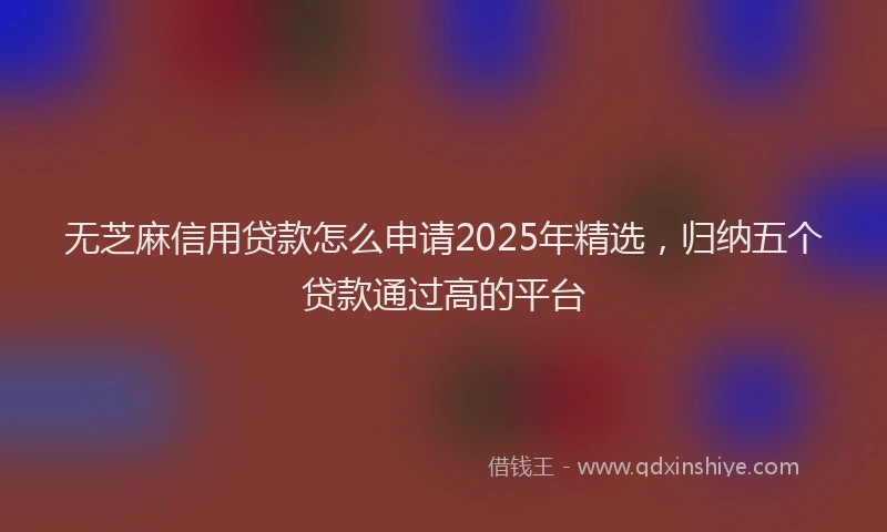 无芝麻信用贷款怎么申请2025年精选，归纳五个贷款通过高的平台