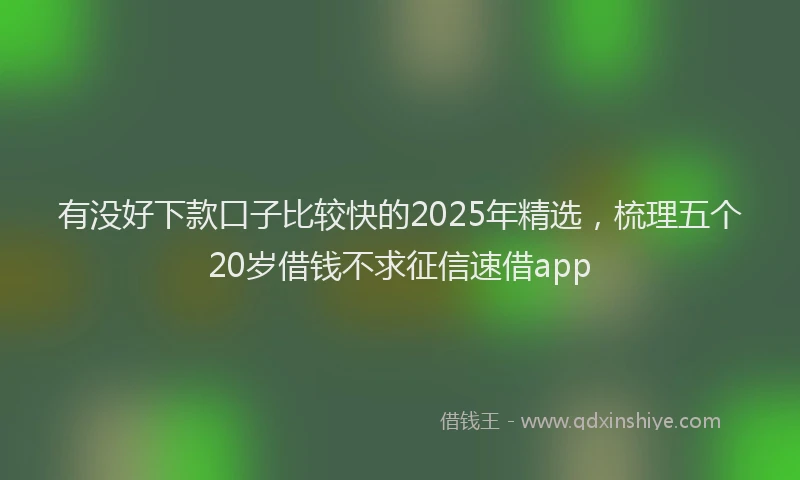 有没好下款口子比较快的2025年精选，梳理五个20岁借钱不求征信速借app